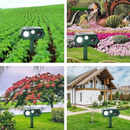 13160-Anodms.png