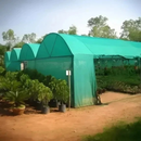 Plasa de Umbrire Opaca 2 x 50 m – Protectie UV, Rezistenta la Intemperii, Ideala pentru Gradina, Solarii si Terase