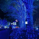 Instalatie Pe Rola 100m LED Albastru | 500 LED-uri Puternice | 8 Modele Luminoase | IP44