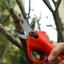 Foarfeca electrica pentru vita de vie, crengi, cu 2 Acumulatori 24V