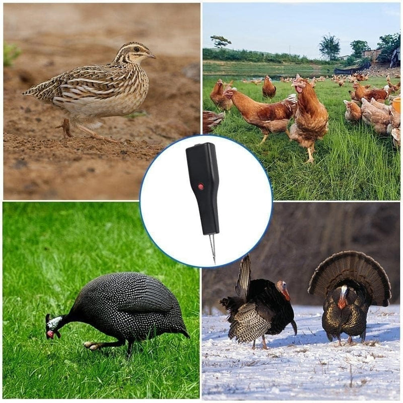 Aparat Electric pentru Curatarea si indepartarea Penelor, Reglabil și Eficient