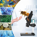 Microscop Digital Portabil Ecran LCD 4.3 inch Zoom 1X–1000X, 1080P, Iluminare LED Reglabila