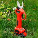 Foarfeca electrica pentru vita de vie, crengi, cu 2 Acumulatori 24V